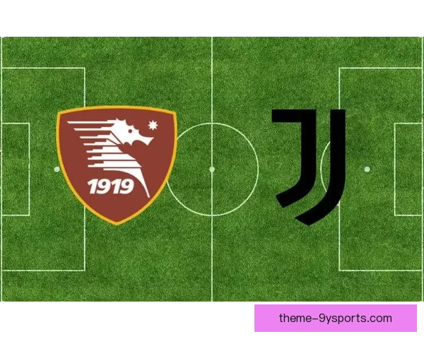 萨勒尼塔纳俱乐部宣布新赛季阵容调整 引援目标锁定多个位置