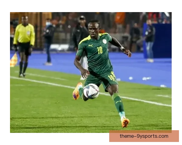 塞内加尔世界杯之旅：从黑马崛起到全球瞩目的非洲力量